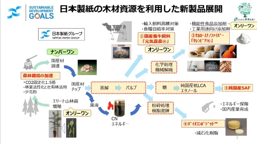日本製紙の木材資源を活用した新製品展開図